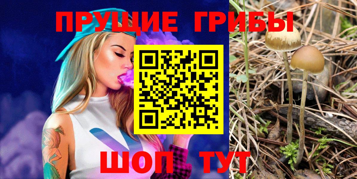 Галлюциногенные грибы Psilocybine cubensis  Псилоцибиновые грибы Magic Shrooms  Вход с VPN  Мыски 
