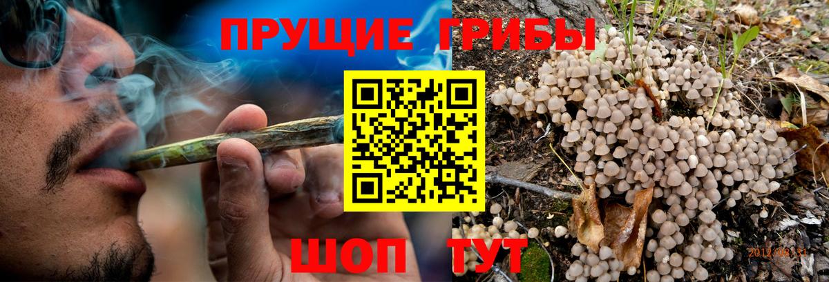 Псилоцибиновые грибы Magic Shrooms Мыски